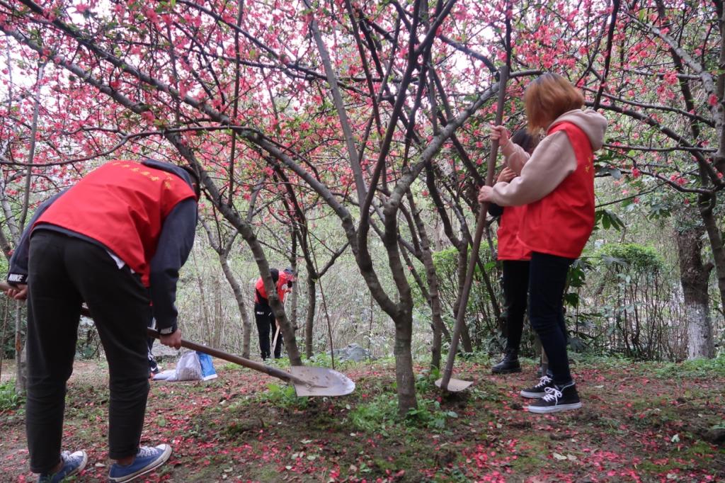 williamhill中国官方网站