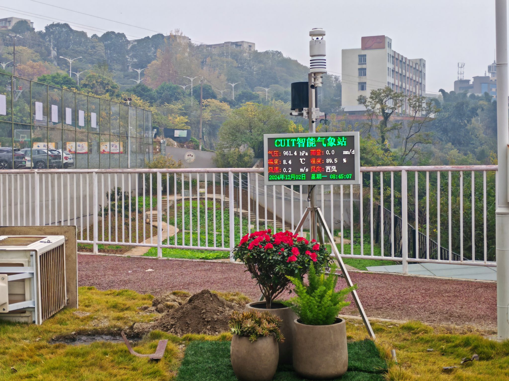 williamhill中国官方网站