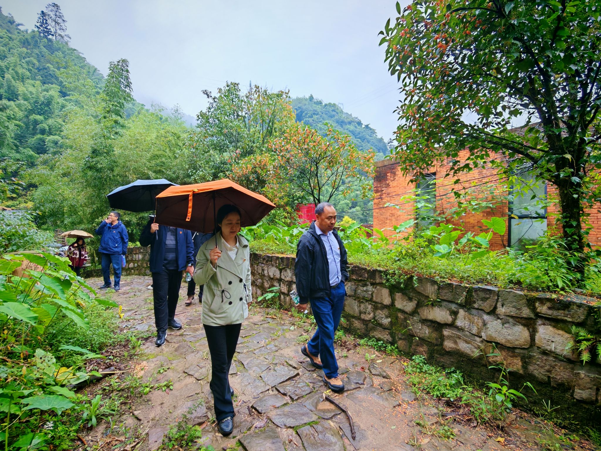 williamhill中国官方网站